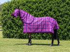 Blossom Summer Weave mesh combo with fly mask on a bay horse