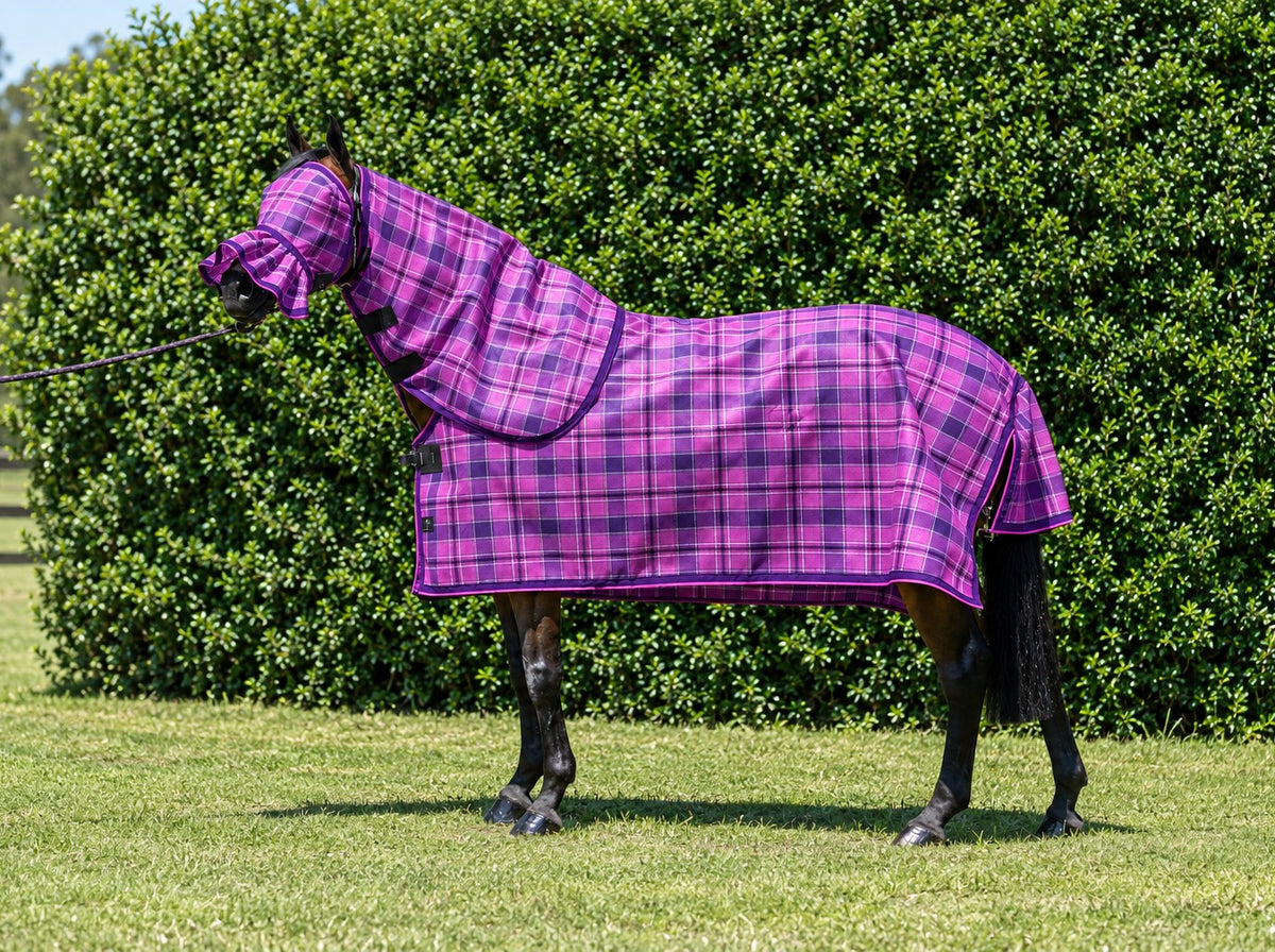 Blossom Summer Weave mesh combo with fly mask on a bay horse