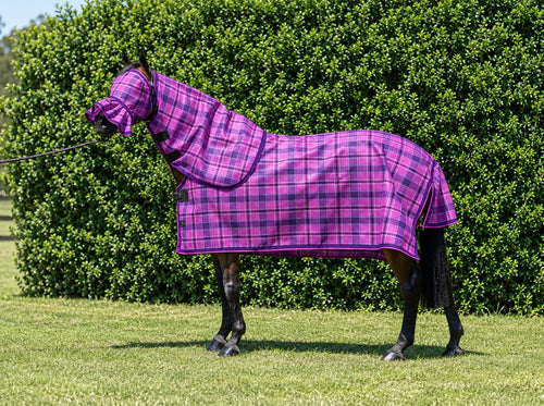 Blossom Summer Weave mesh combo with fly mask on a bay horse