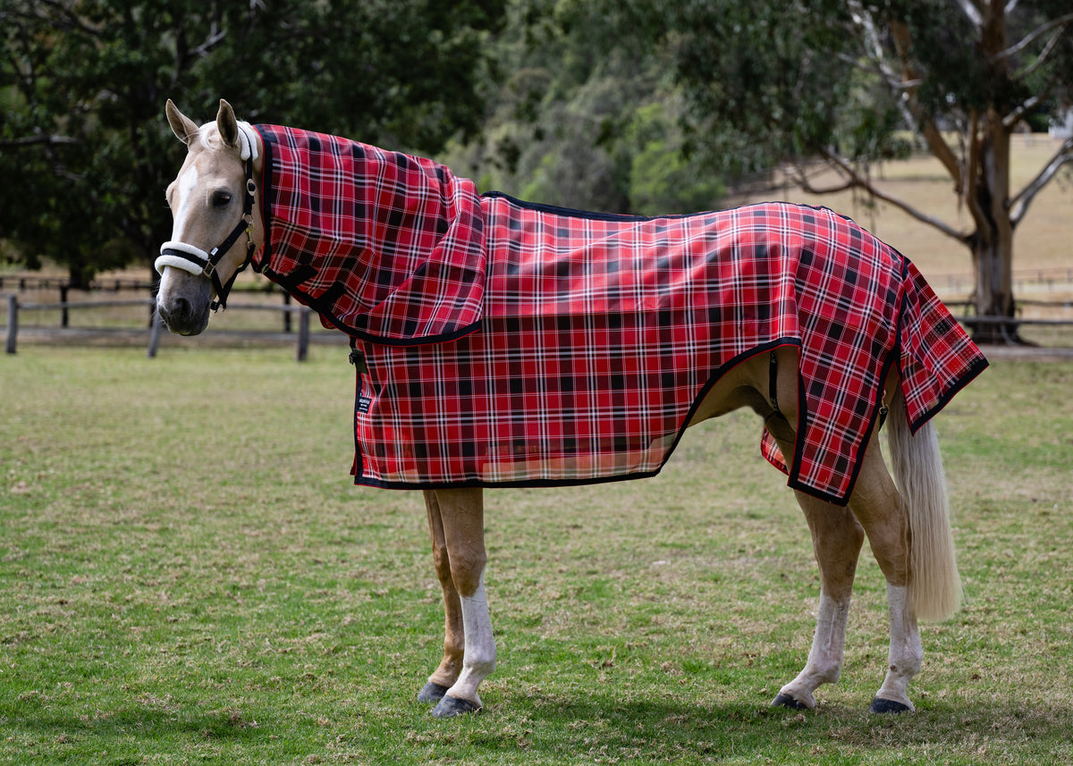 Scarlet Ultra Mesh mare nursing rug neck combo on a palomino pony, full side view showing the nursing cut-out at the rear flank