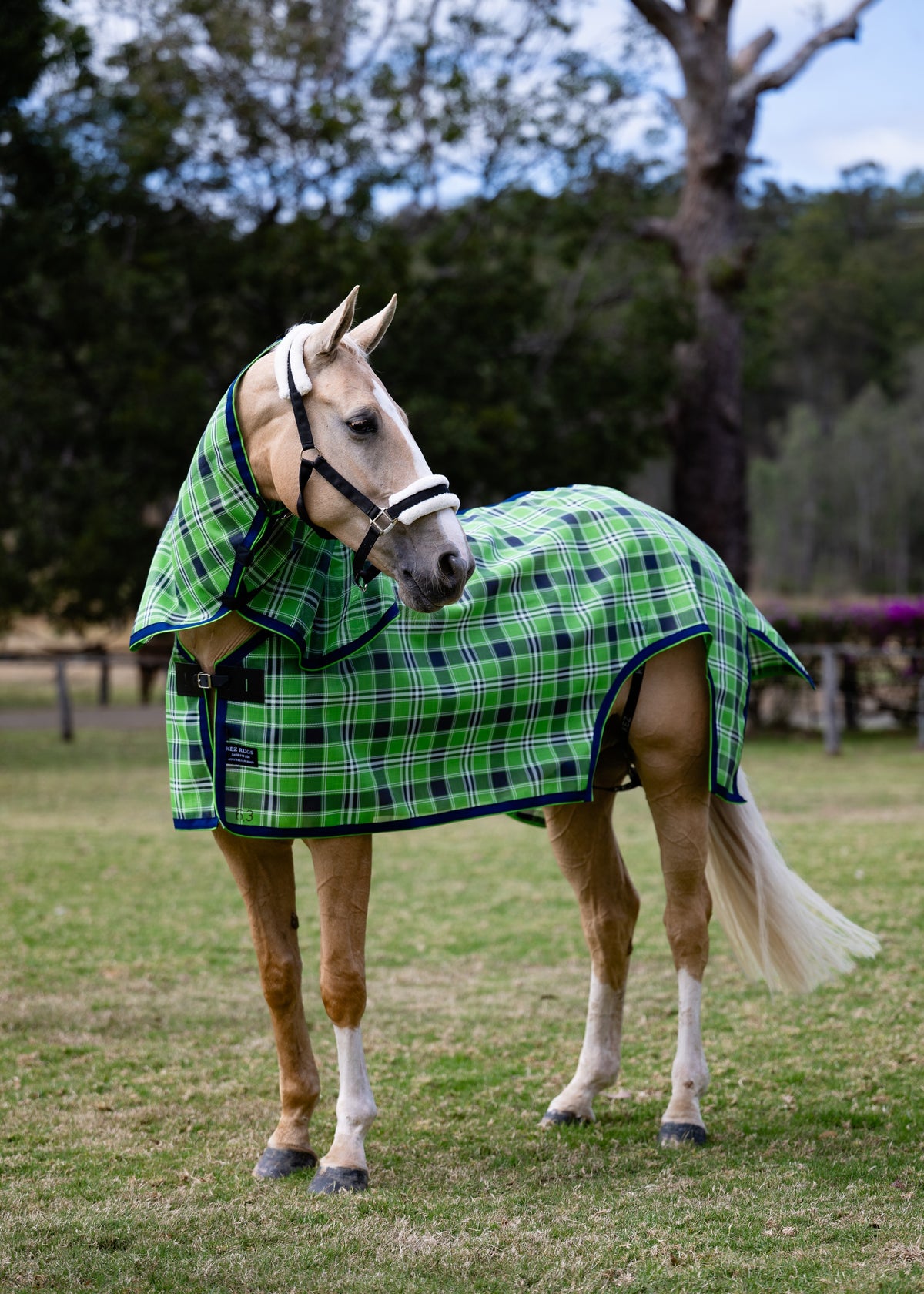 Evergreen Ultra Mesh mare nursing rug neck combo, three-quarter view with the flank cut-out visible