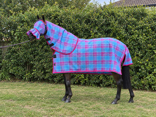 Bubble Gum Summer Weave mesh combo with fly mask on a bay horse