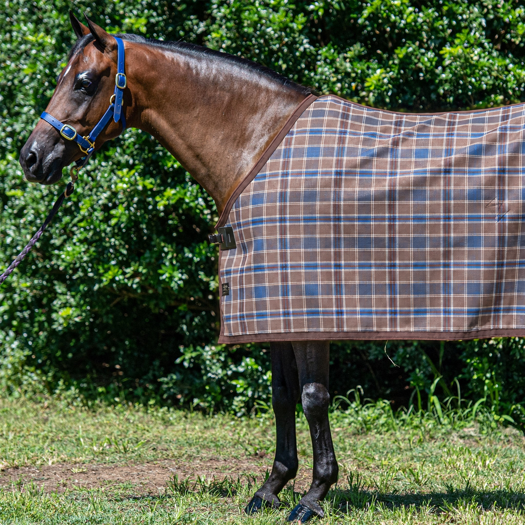 Ice Coffee Summer Weave rug only on a bay horse
