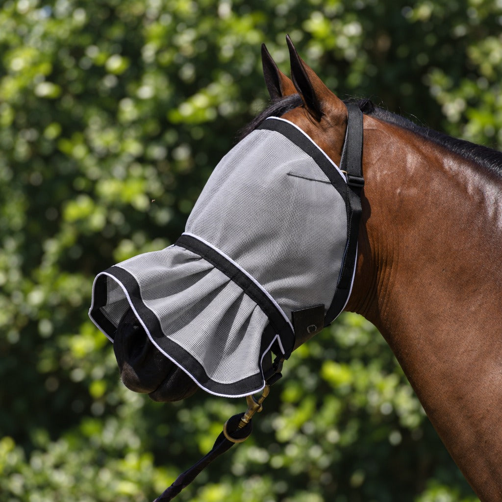 Plain Silver Fly Mask on a bay horse