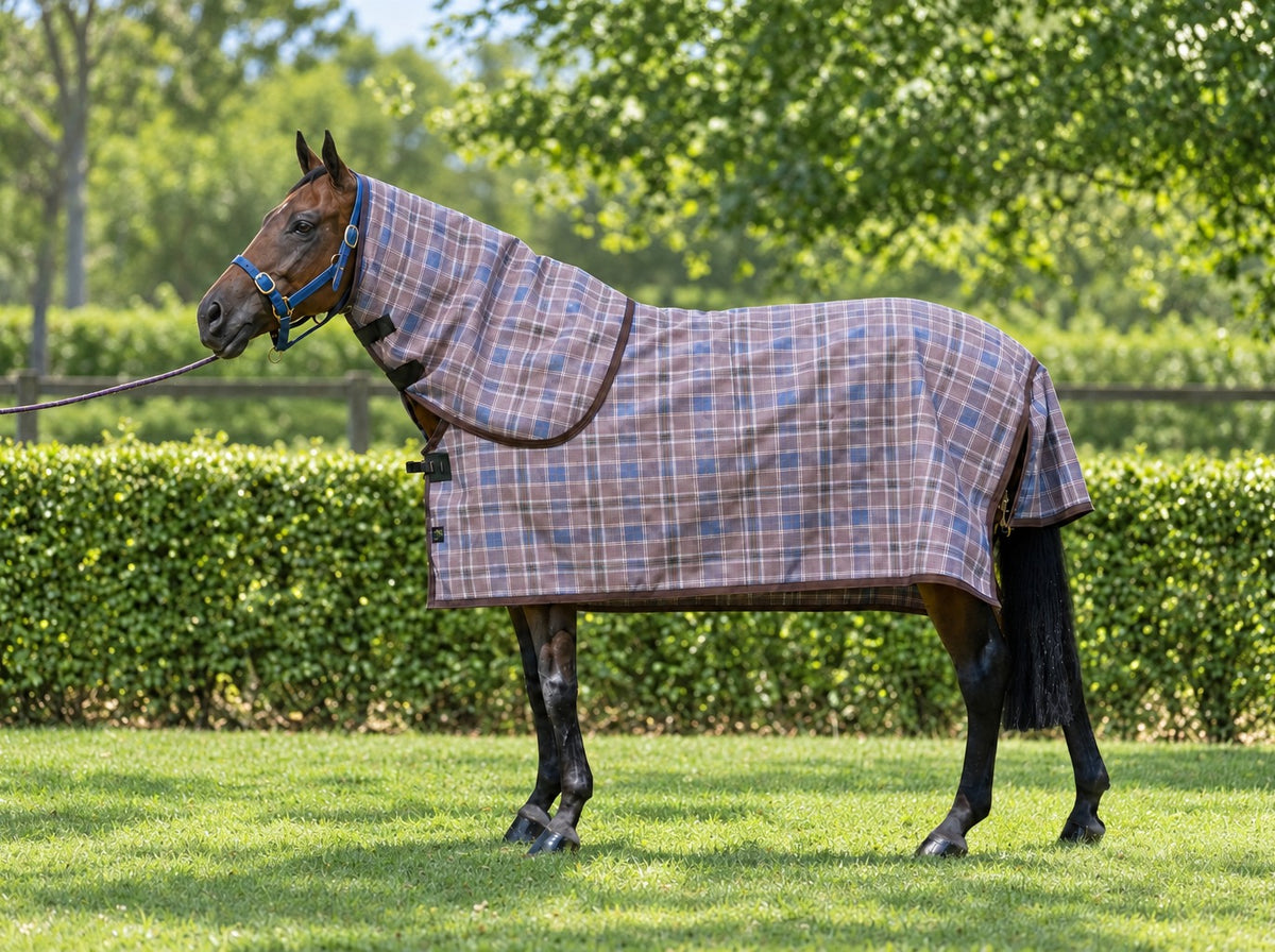 Ice Coffee Summer Weave mesh neck combo on a bay horse