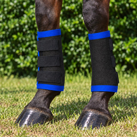 Black Kez Rugs fly boots