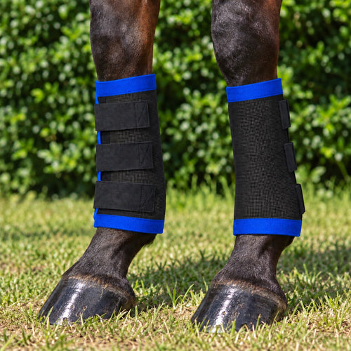 Black Kez Rugs fly boots