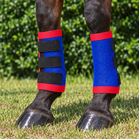 Royal Blue Kez Rugs fly boots