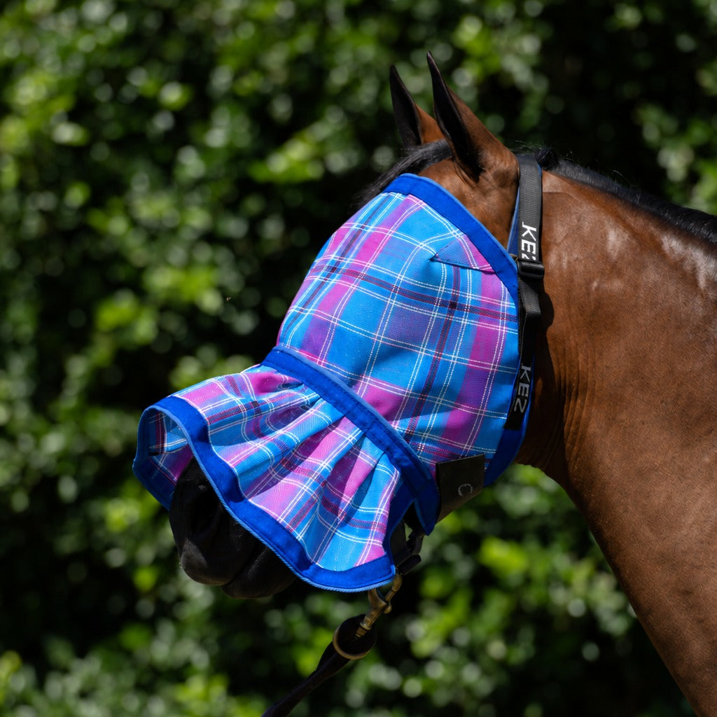Bubble Gum Fly Mask on a bay horse