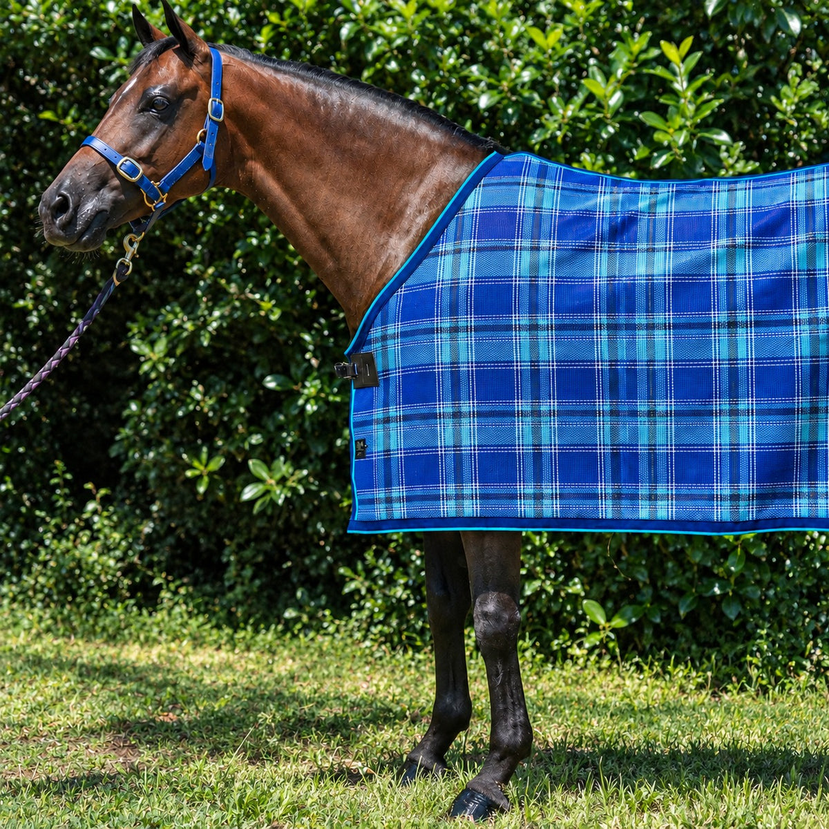 Ocean Summer Weave rug only on a bay horse