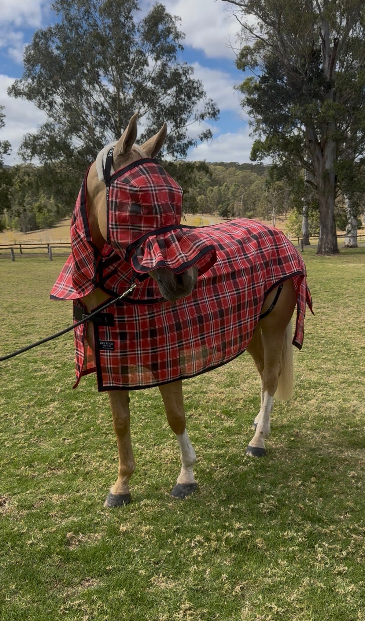 Mare nursing rugs in stock in Ultra Mesh - Neck Combo