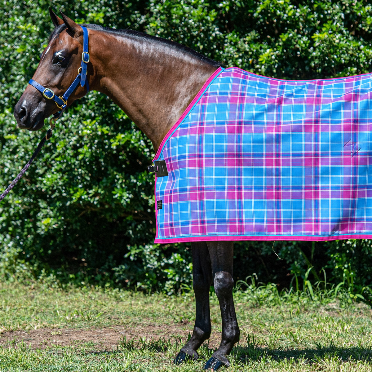 Bubble Gum Ultra Mesh Summer Weave rug only on a bay horse