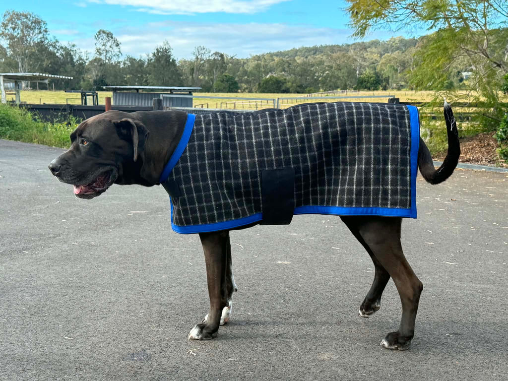 Dog Rug - Custom Made Kersey Wool
