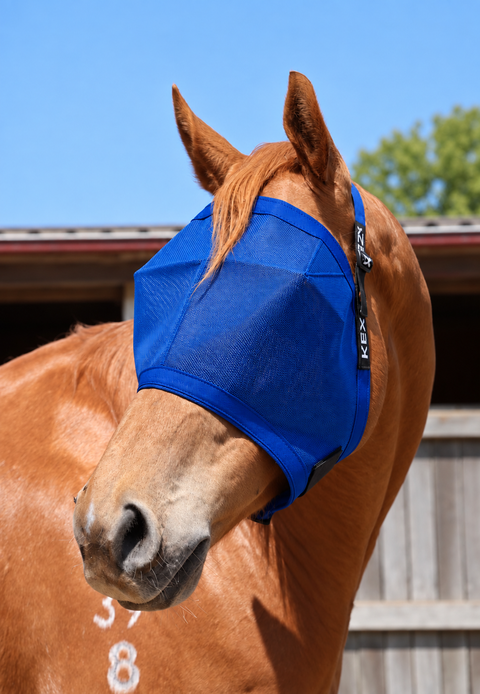 Royal Blue Ultra Mesh Fly Mask