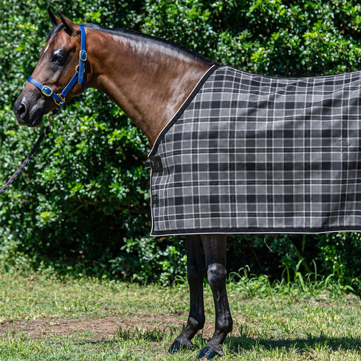 Storm Ultra Mesh Summer Weave rug only on a bay horse