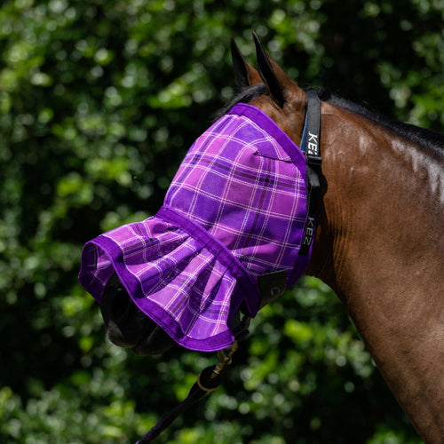 Blossom Fly Veil on a bay horse
