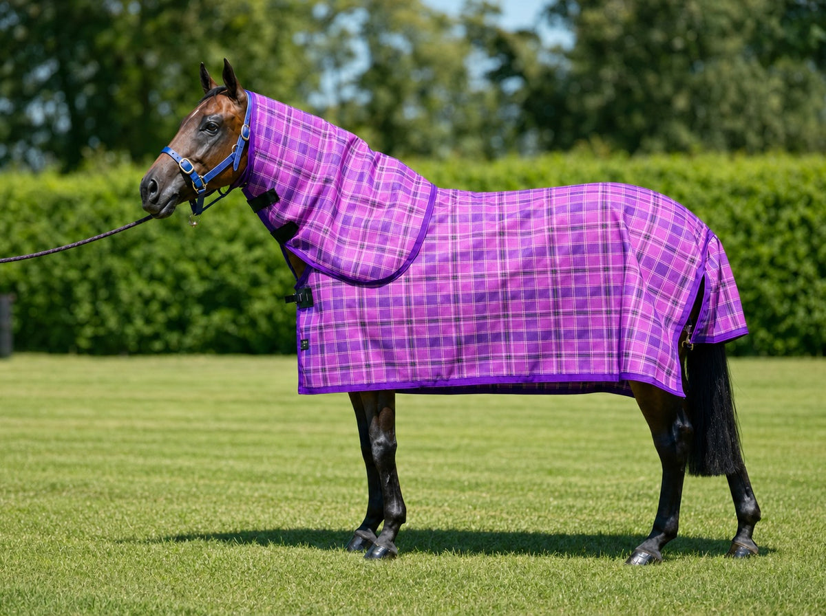 Blossom Summer Weave mesh neck combo on a bay horse