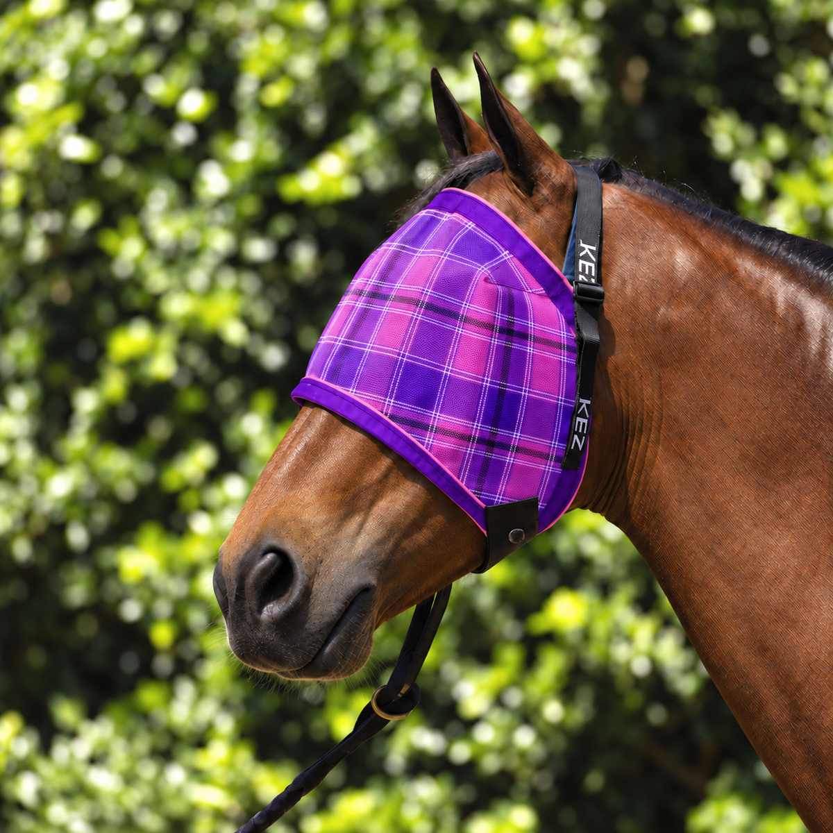 Blossom Ultra Mesh Fly Mask without nose attachment, three-quarter close-up, AI colour-matched to real product photography