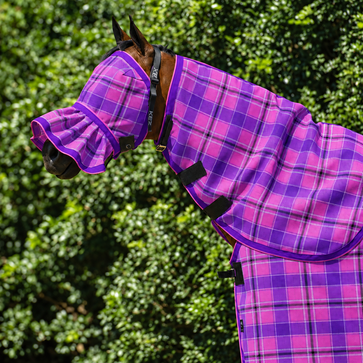 Blossom Ultra Mesh Fly Mask with nose attachment and matching neck combo, close-up, AI colour-matched to real product photography