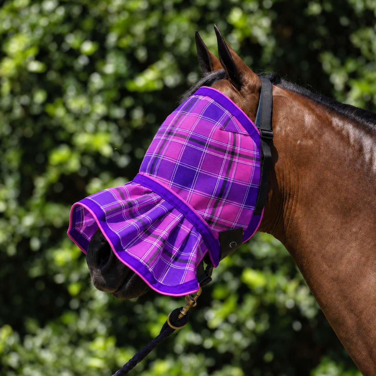 Blossom Ultra Mesh Fly Mask with nose attachment, three-quarter close-up, AI colour-matched to real product photography