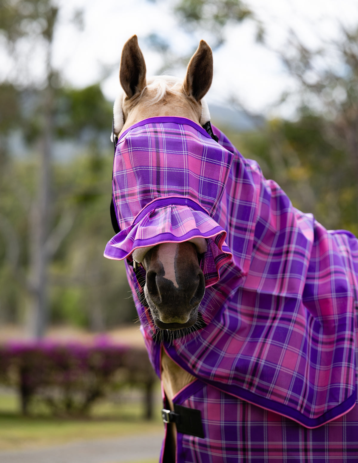 Blossom Ultra Mesh Fly Mask with pleated nose attachment, close front detail of mesh and edging