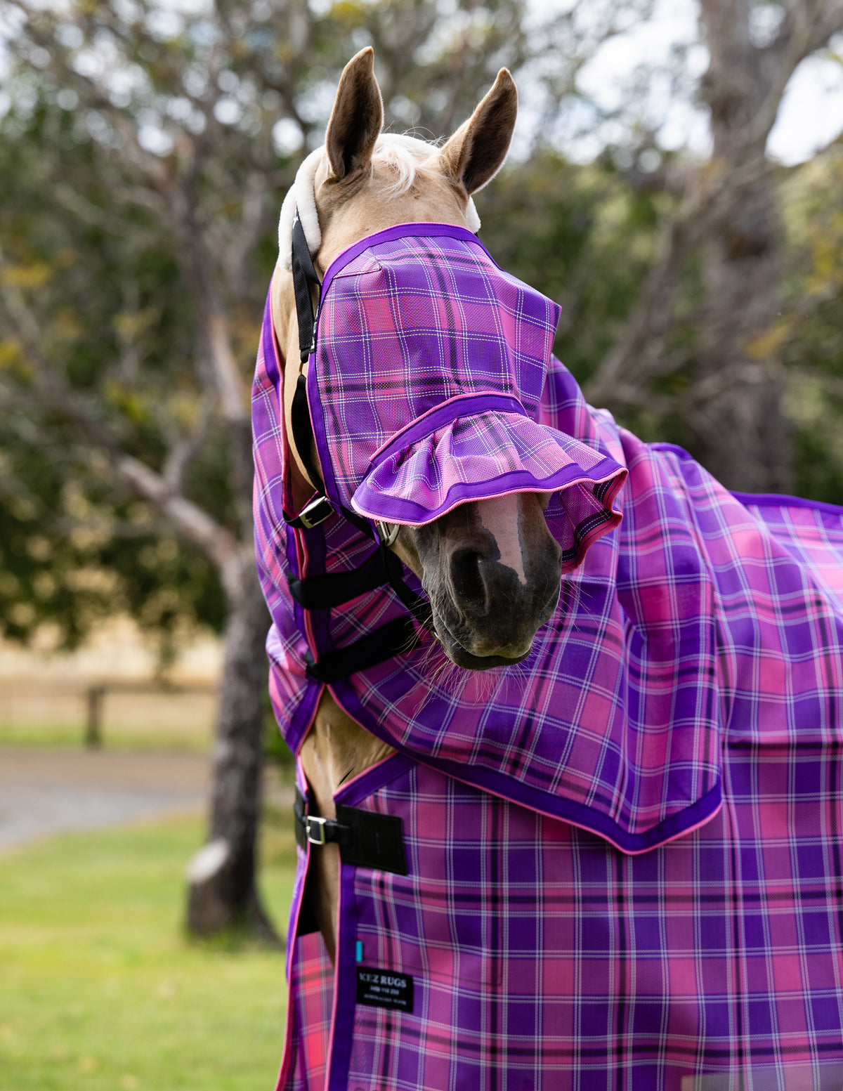 Blossom Ultra Mesh Fly Mask with pleated nose attachment, three-quarter close-up