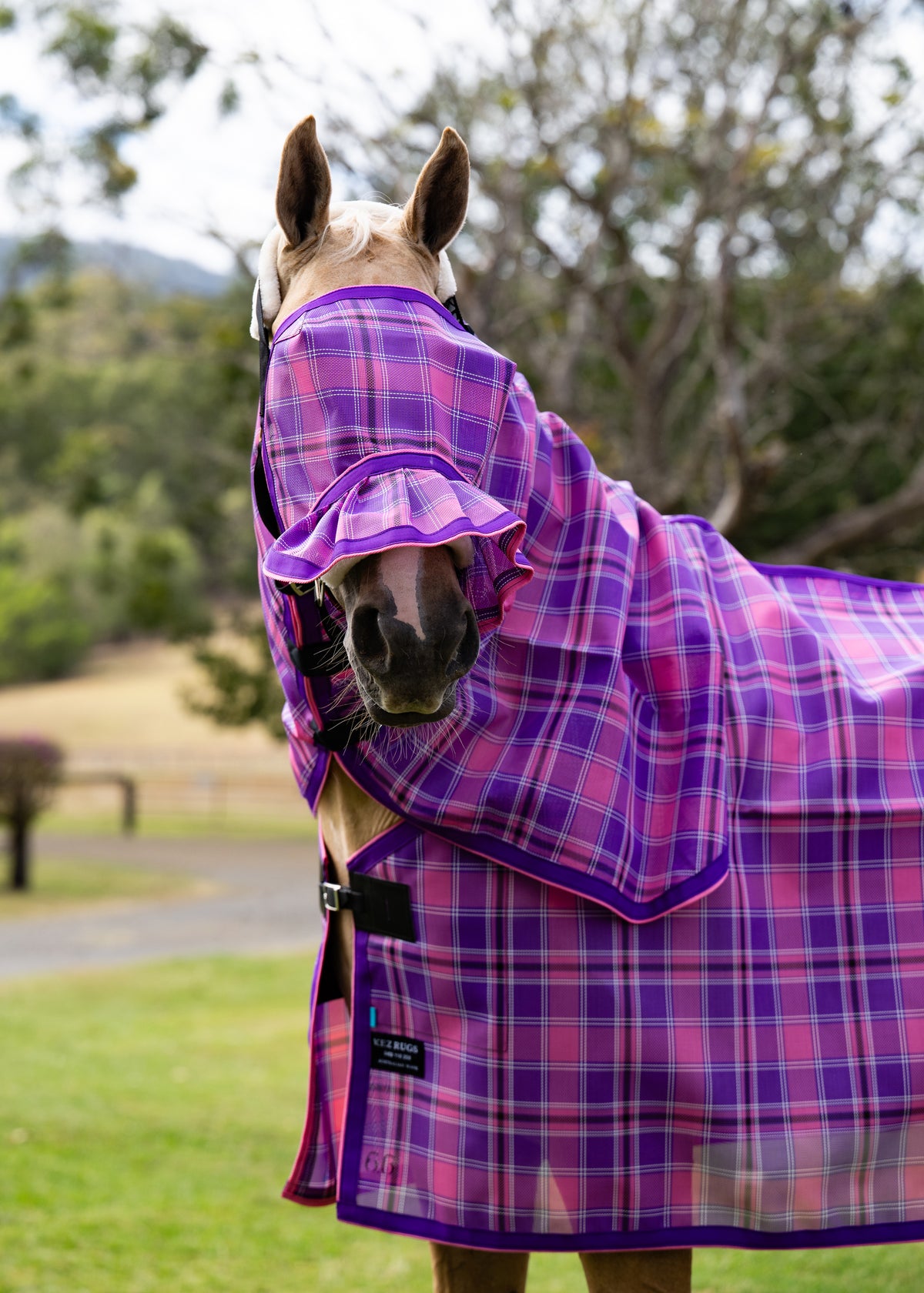 Blossom Ultra Mesh Fly Mask with pleated nose attachment and matching neck combo, alternate front portrait