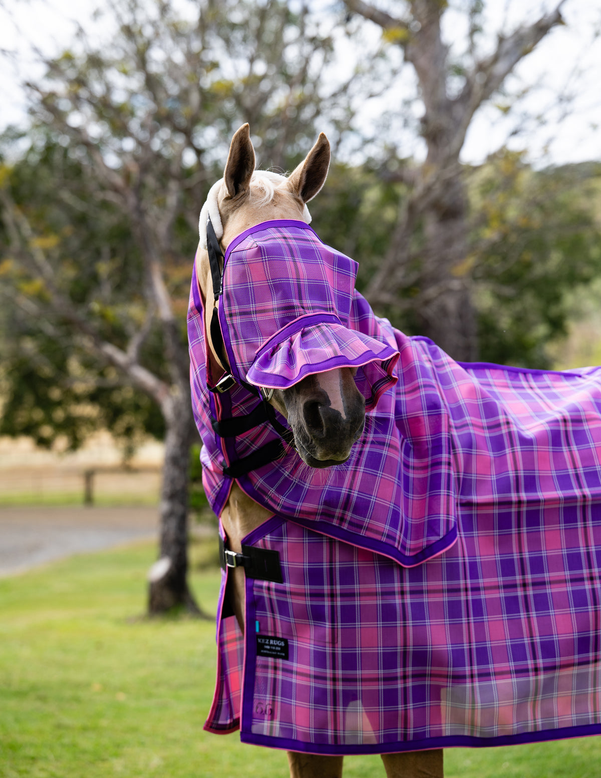 Blossom Ultra Mesh Fly Mask with pleated nose attachment and matching neck combo, front portrait