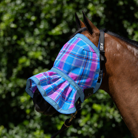 Bubble Gum Fly Mask with a light blue binding, on a bay horse