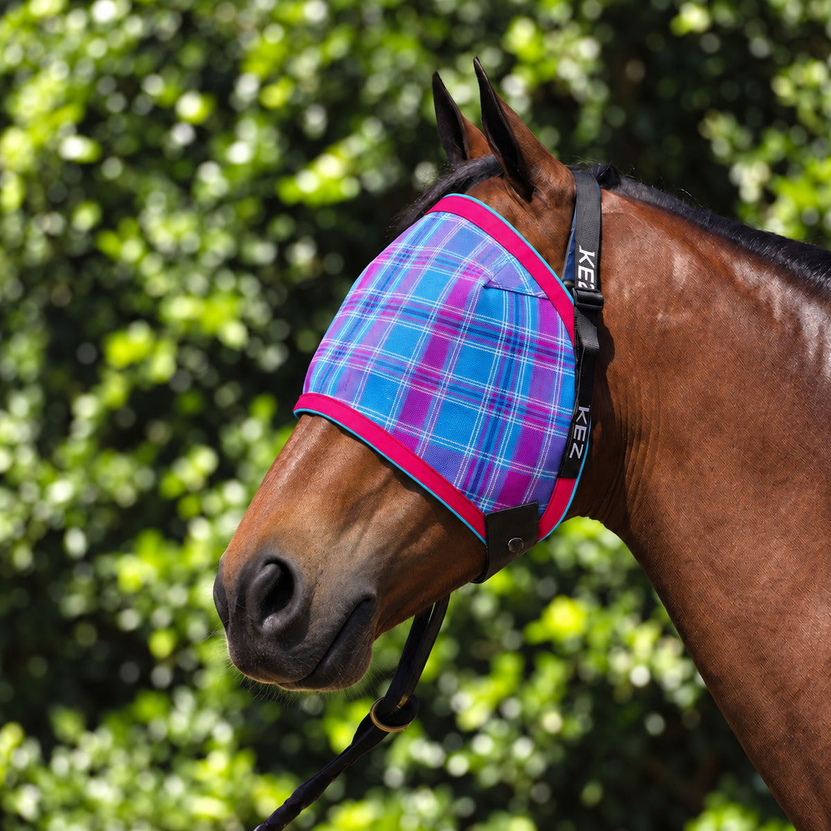 Bubble Gum Ultra Mesh Fly Mask without nose attachment, pink binding and turquoise piping