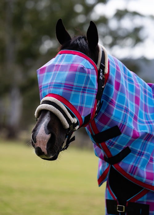 Bubble Gum Ultra Mesh Fly Mask without nose attachment, main side portrait on a black horse