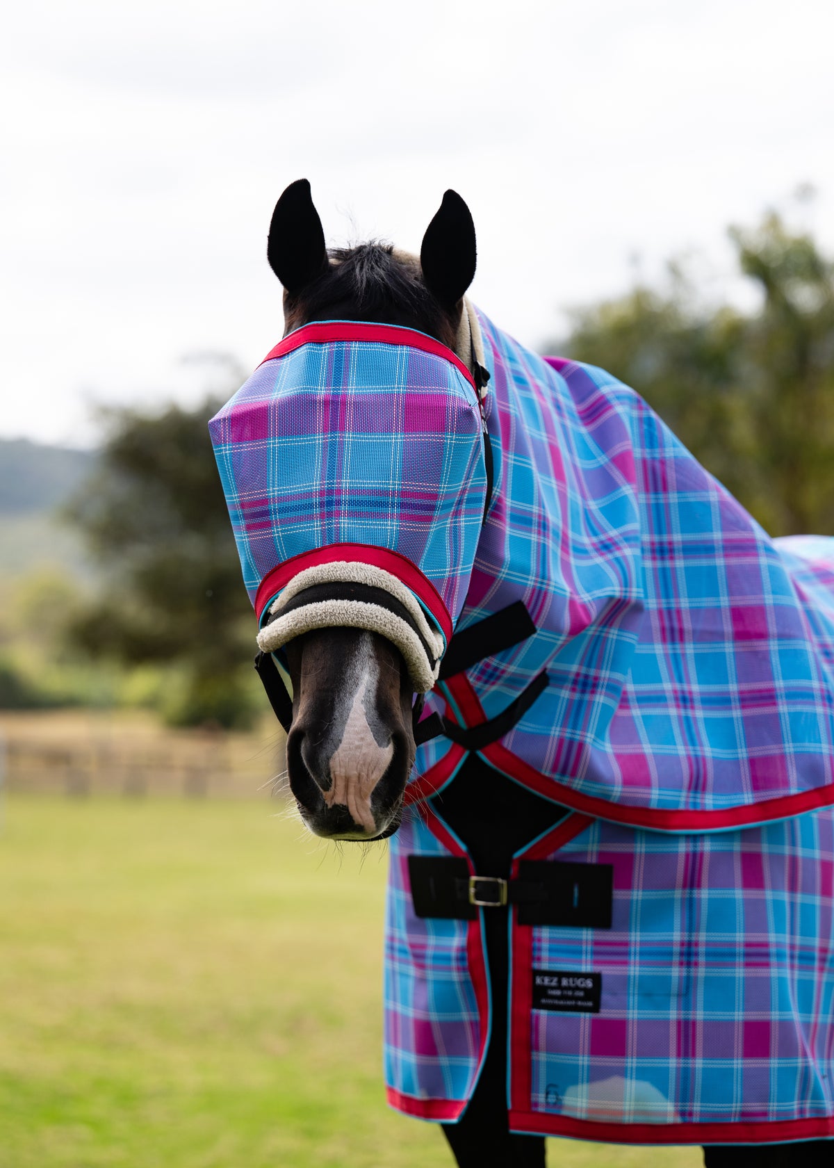 Bubble Gum Ultra Mesh Fly Mask without nose attachment and matching neck combo, alternate front portrait