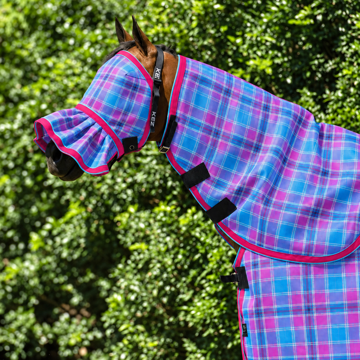 Bubble Gum Ultra Mesh Fly Mask with pleated nose and matching neck combo, pink binding and turquoise piping