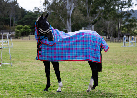 Bubble Gum Ultra Mesh Summer Weave neck combo on a black horse, main full side view