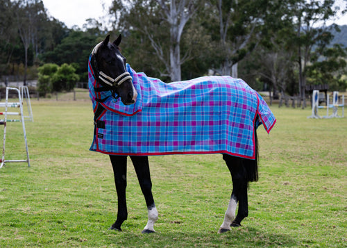 Bubble Gum Ultra Mesh Summer Weave neck combo on a black horse, main full side view