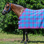 Bubble Gum Ultra Mesh Summer Weave rug only on a bay horse, pink binding and turquoise piping