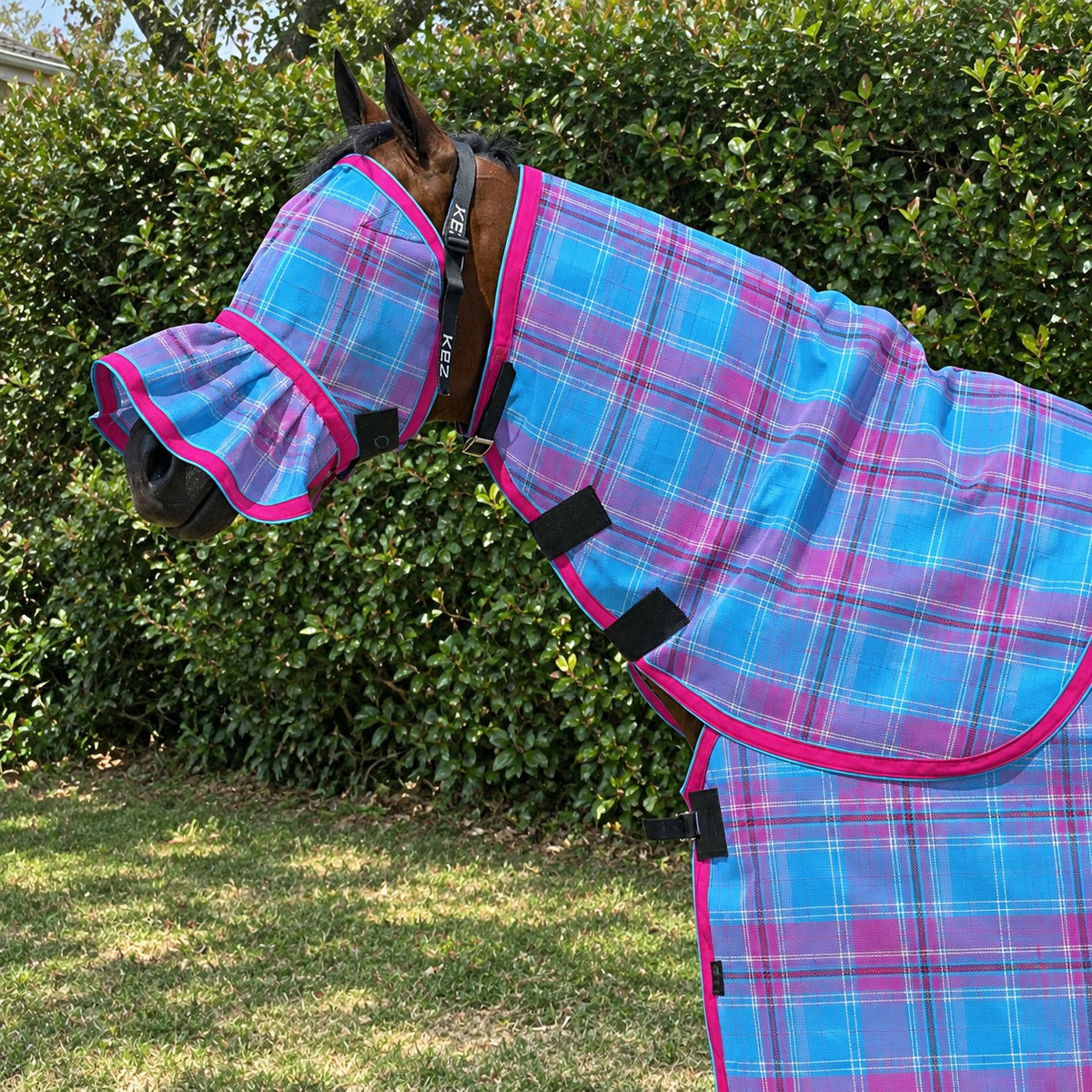 Bubble Gum Summer Weave mesh combo and fly mask, close up