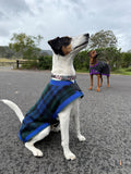 Dog Rugs - Assorted Colours - Ready to post
