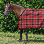 Scarlet Summer Weave rug only on a bay horse