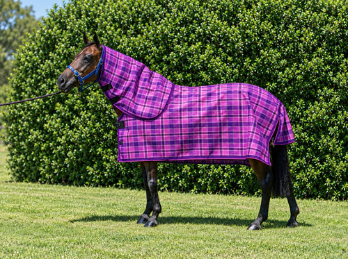 Blossom Summer Weave mesh neck combo on a bay horse