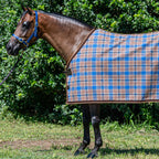 Ice Coffee Summer Weave rug only on a bay horse