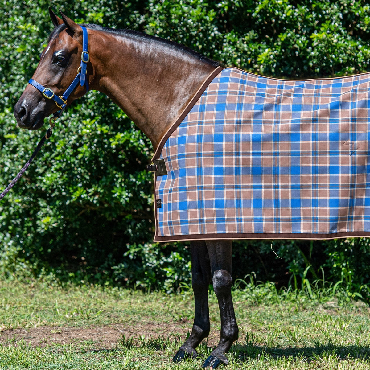 Ice Coffee Summer Weave rug only on a bay horse
