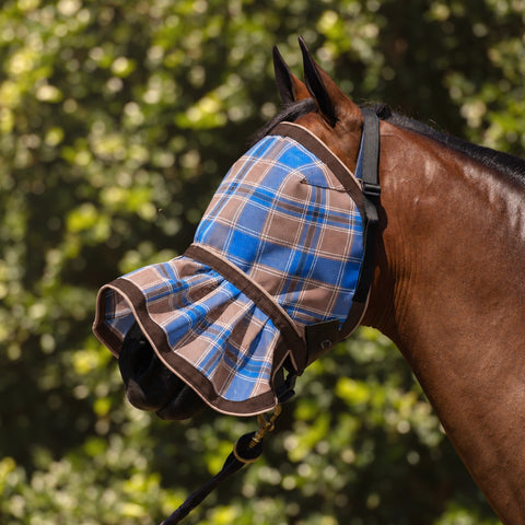 Ice Coffee Fly Mask on a bay horse