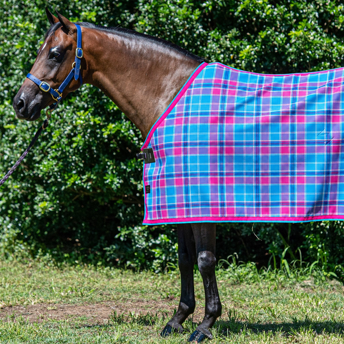 Bubble Gum Ultra Mesh Summer Weave rug only on a bay horse