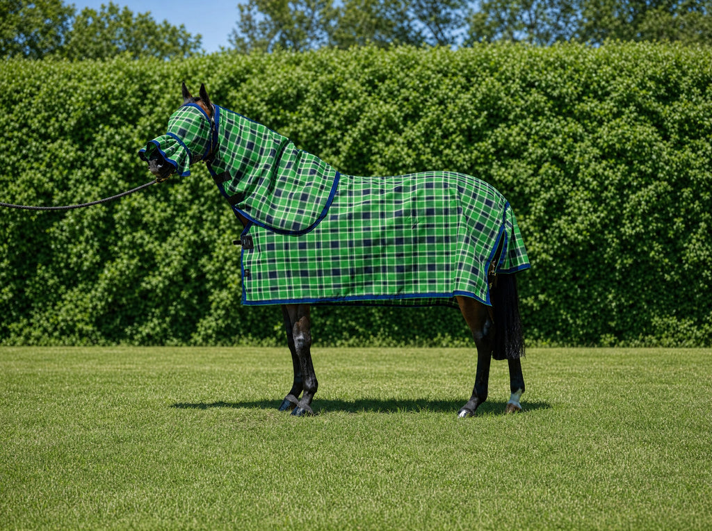 Evergreen Summer Weave mesh combo with fly mask on a bay horse