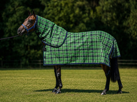 Evergreen Summer Weave