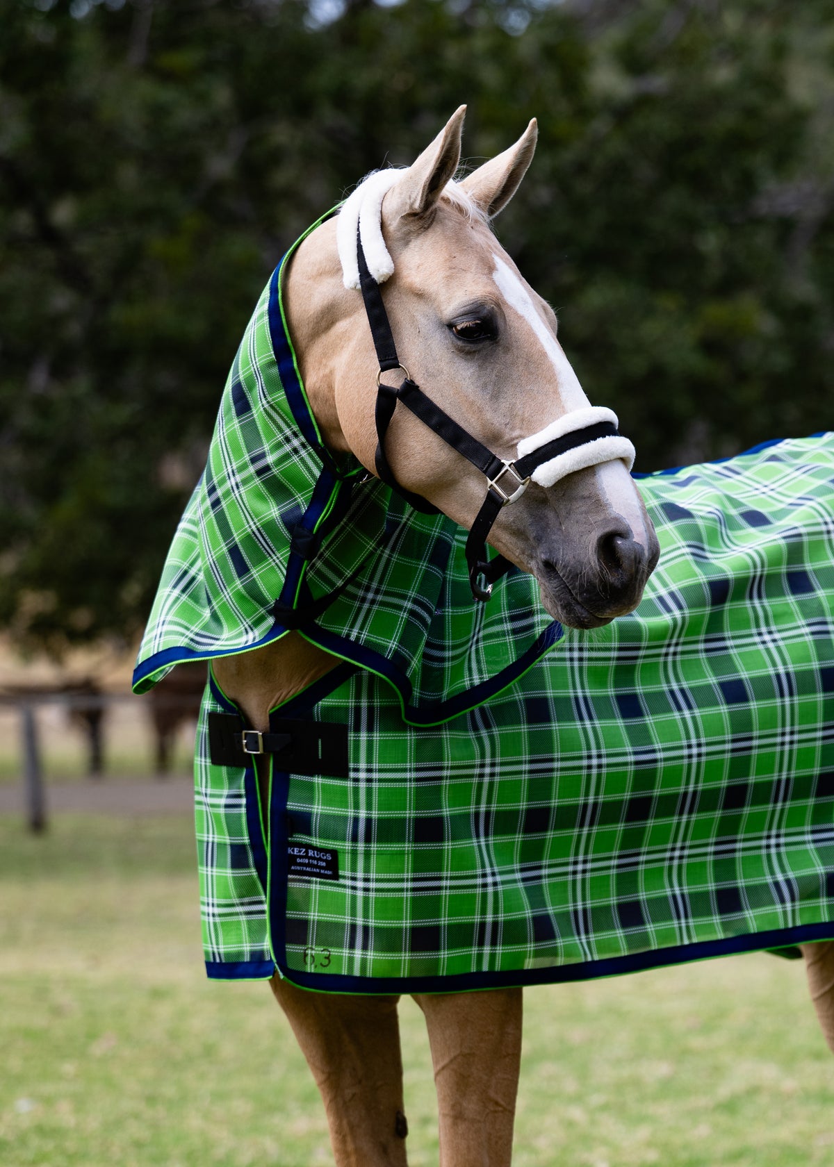 Evergreen Ultra Mesh Summer Weave neck combo on a palomino horse, portrait detail