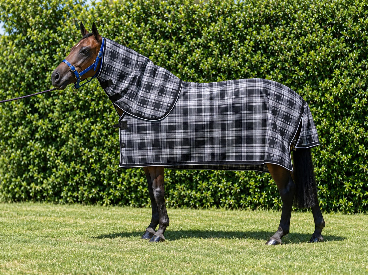 Storm Ultra Mesh Summer Weave neck combo on a bay horse