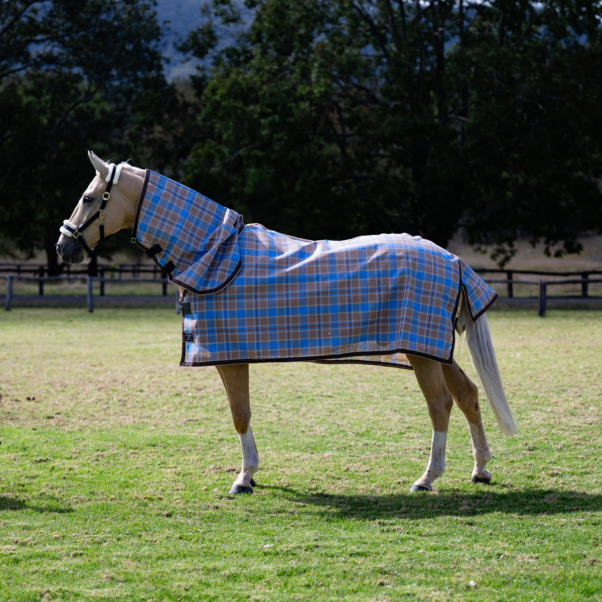 Ice Coffee Ultra Mesh Summer Weave neck combo, full side view in square framing