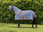 Ice Coffee Ultra Mesh Summer Weave neck combo with matching fly mask, full side view, AI colour-matched to real product photography